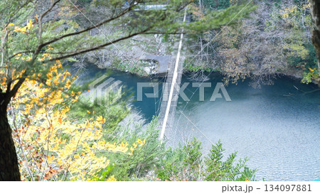 寸又峡　夢のつり橋 134097881