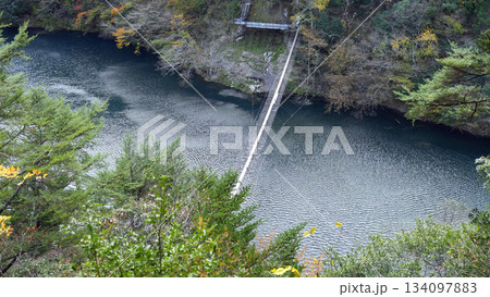 寸又峡 夢のつり橋 寸又峡 夢のつり橋 134097883