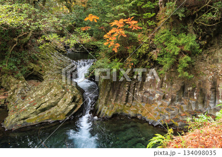 紅葉見頃な河津七滝 134098035