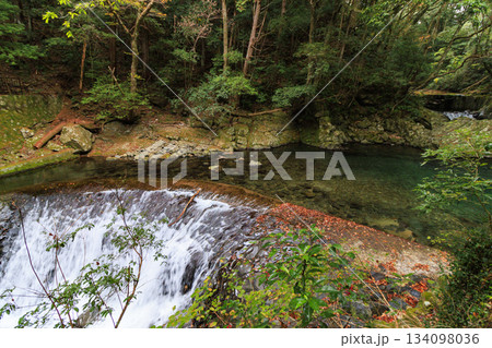 紅葉見頃な河津七滝 紅葉見頃な河津七滝 134098036