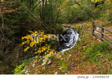 紅葉見頃な河津七滝 紅葉見頃な河津七滝 134098039