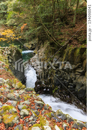 紅葉見頃な河津七滝 紅葉見頃な河津七滝 134098041