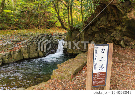 紅葉見頃な河津七滝 134098045