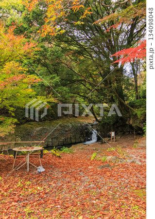 紅葉見頃な河津七滝 紅葉見頃な河津七滝 134098048