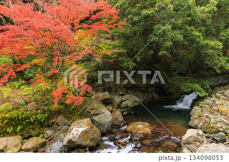 紅葉見頃な河津七滝 紅葉見頃な河津七滝 134098053