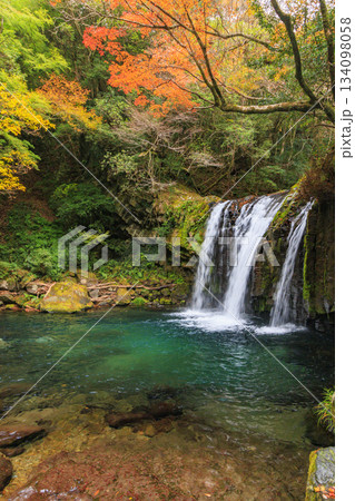 紅葉見頃な河津七滝 134098058