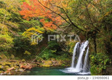 紅葉見頃な河津七滝 134098061