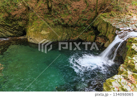 紅葉見頃な河津七滝 134098065