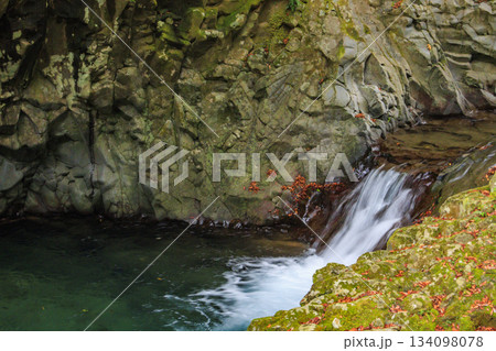 紅葉見頃な河津七滝 134098078