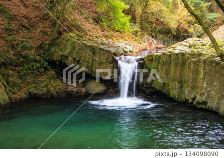 紅葉見頃な河津七滝 134098090