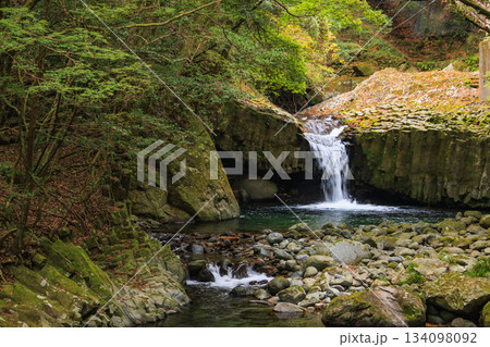 紅葉見頃な河津七滝 134098092