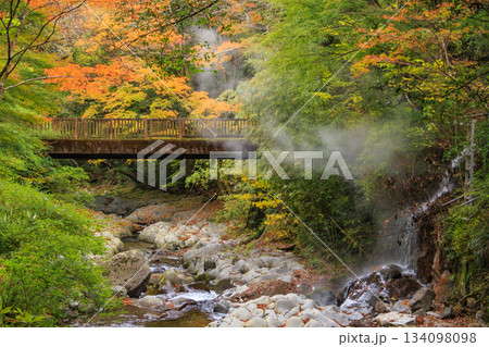 紅葉見頃な河津七滝 紅葉見頃な河津七滝 134098098