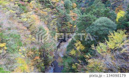 秋の寸又峡渓谷 秋の寸又峡渓谷 134098179