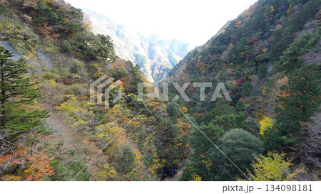 秋の寸又峡渓谷 秋の寸又峡渓谷 134098181