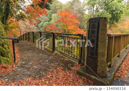 紅葉見頃な天城湯ヶ島出会い橋 紅葉見頃な天城湯ヶ島出会い橋 134098316