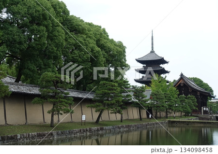東寺 東寺 134098458