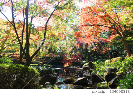 大田黒公園の紅葉 134098518