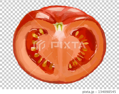 半分に切ったトマトのイラスト 134098545