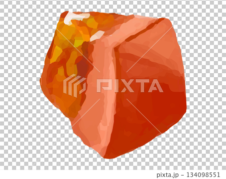 Illustration of diced tomatoes (with seeds, juicy) 134098551