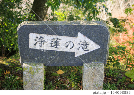 浄蓮の滝 134098883