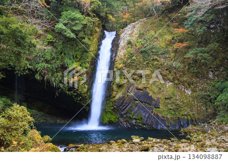 浄蓮の滝 浄蓮の滝 134098887