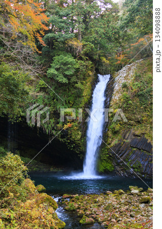 浄蓮の滝 134098888