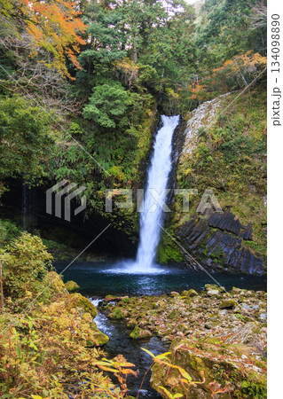 浄蓮の滝 浄蓮の滝 134098890