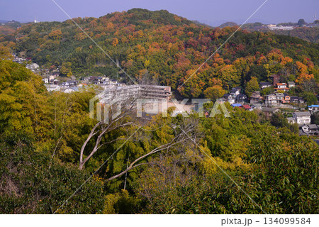 尾道の風景 134099584