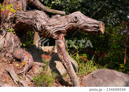 尾道の風景 134099594