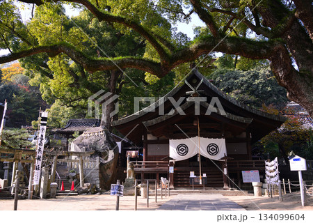 尾道の風景 134099604