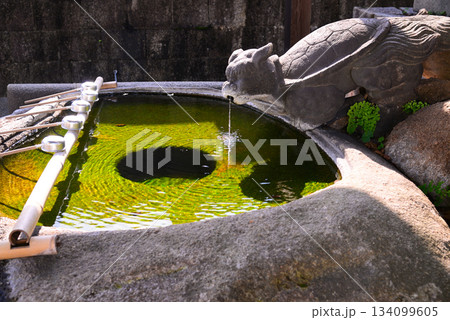 尾道の風景 134099605