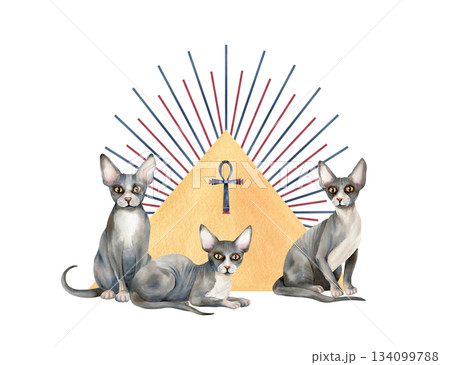 Three sphynx cat, abstract pyramid triangle, sun rays and Ankh. Sacred animal symbol. Hand drawn watercolor isolated clip art. Illustration of spiritual concept. Ancient icon, goddess 134099788