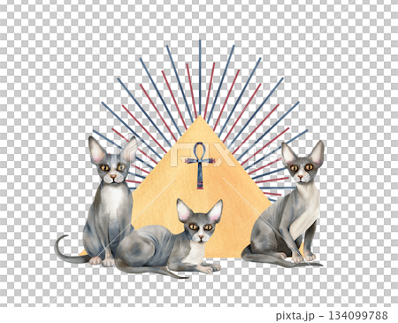 Three sphynx cat, abstract pyramid triangle, sun rays and Ankh. Sacred animal symbol. Hand drawn watercolor isolated clip art. Illustration of spiritual concept. Ancient icon, goddess 134099788