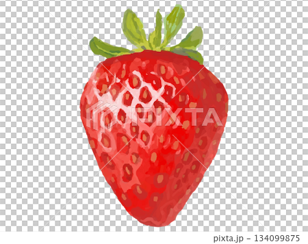 草莓插圖（動態莖） 134099875