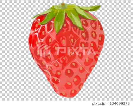 草莓插圖 134099876