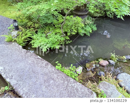 日本庭園の石橋 134100229