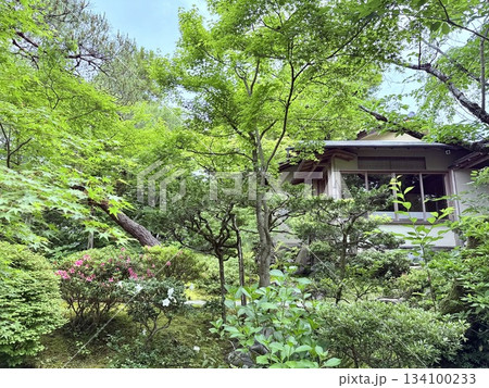 レストランと日本庭園 134100233