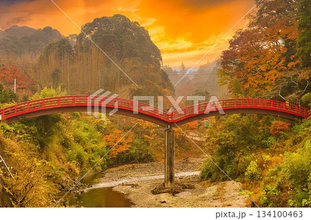 養老渓谷の紅葉 134100463