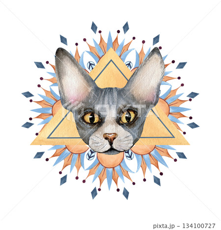 Sphynx cat head, abstract pyramid shape triangle, graphic ornaments, patterns. Sacred animal symbol, icon. Hand drawn watercolor isolated clip art. Illustration of spiritual Egyptian concept 134100727