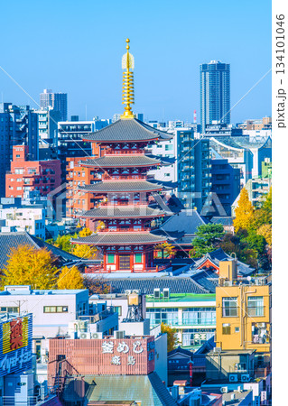 日本の東京都市景観 師走。浅草寺・五重塔(インバウンド続く…まるで異国…外国人観光客らで賑わう) 134101046