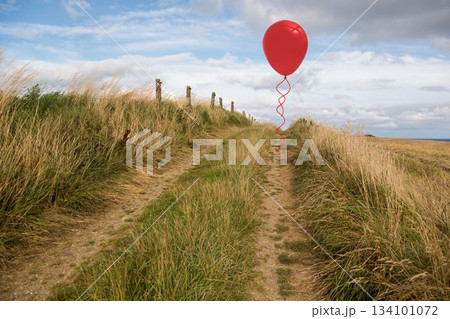 Red balloon floating above rutted track with wooden wire fence posts, wild grasses in flat design 134101072