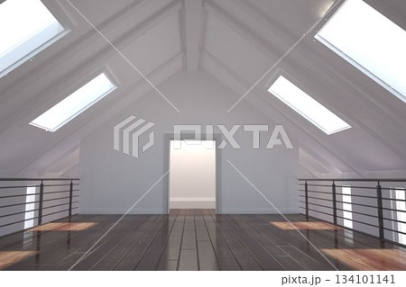 White room with skylights White room with skylights 134101141