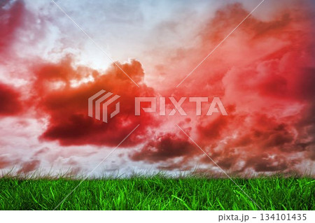 Green grass under red cloudy sky Green grass under red cloudy sky 134101435