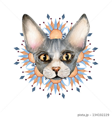 Sphynx cat head and abstract circle ornament. Sacred animal, geometric shape, patterns, lotus. Hand drawn watercolor illustration isolated from background. Magical esoteric concept clip art Sphynx cat head and abstract circle ornament. Sacred animal, geometric shape, patterns, lotus. Hand drawn watercolor illustration isolated from background. Magical esoteric concept clip art 134102229