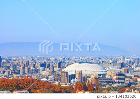 愛知県名古屋市、ナゴヤドームとその周辺の風景 134102620