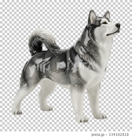 Glossy porcelain Siberian Husky dog figurine standing with grey and white coat texture Glossy porcelain Siberian Husky dog figurine standing with grey and white coat texture 134102818
