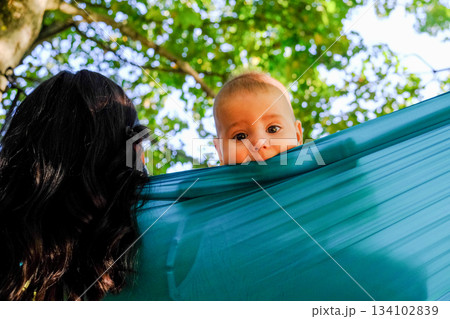 Child Peeking Over Hammock in Park Child Peeking Over Hammock in Park 134102839