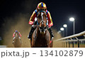 競馬 134102879