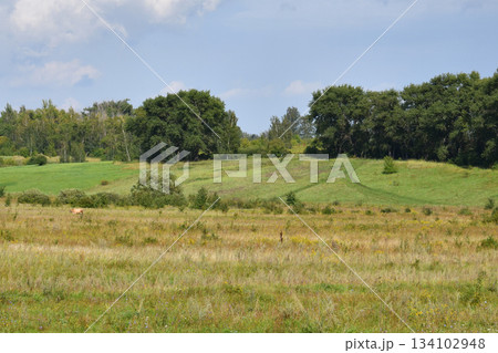 An August rural landscape in Russia An August rural landscape in Russia 134102948