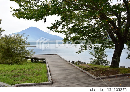 山梨県　山中湖交流プラザきららの水辺のボードウォークと富士山 134103273